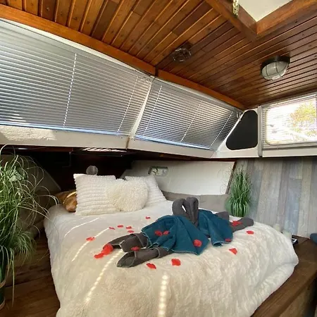 Tekne Bateau Fellowship